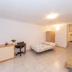Dada Apartman Biograd na Moru