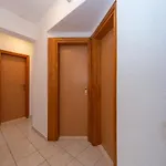 Dada *